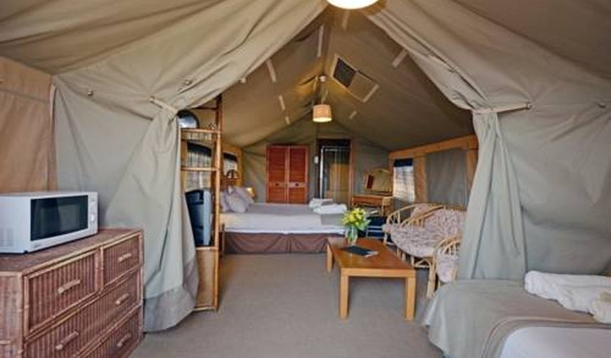 Spotted dikkop luxury tented camp: The Spotted Dikkop Luxury Tented Camp bedroom