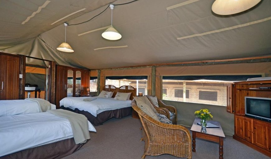 Eagle Owl luxury tented camp: The Eagle Owl Luxury Tent Bedroom