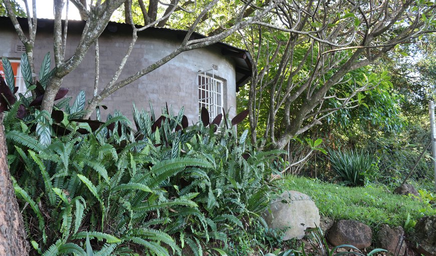 Ida's Cottage: Ida's Cottage