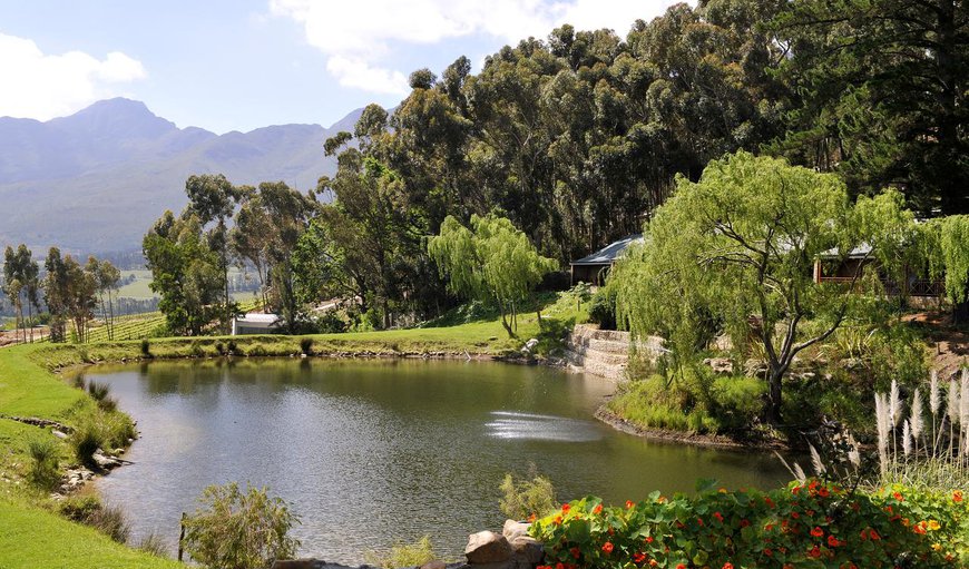 Welcome to MontMartre Chalets and Guest House in Franschhoek, Western Cape, South Africa
