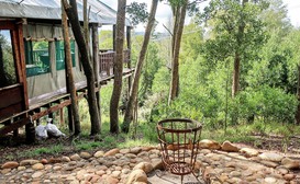Fernhill Tented Treehouses image