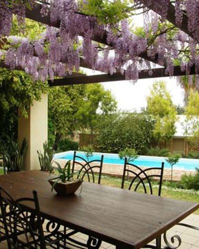 View at pool