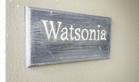 Watsonia Standard Room: Watsonia