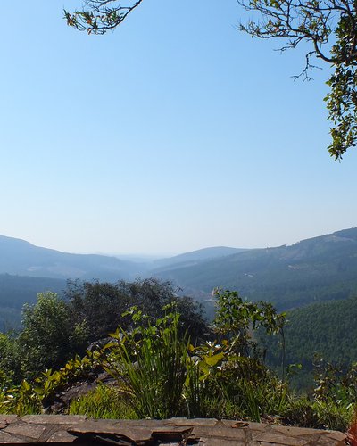 Welcome to The Krantz Guest House & Chalets