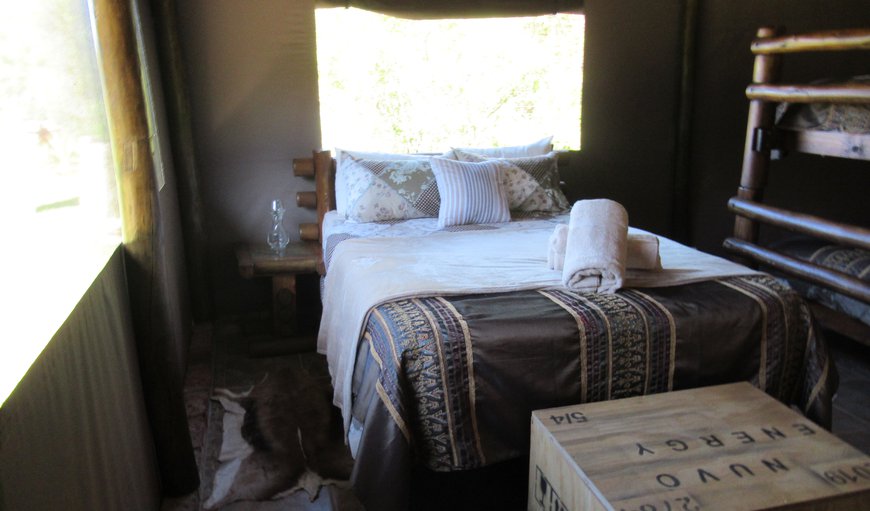 Luxury Tent photo 105
