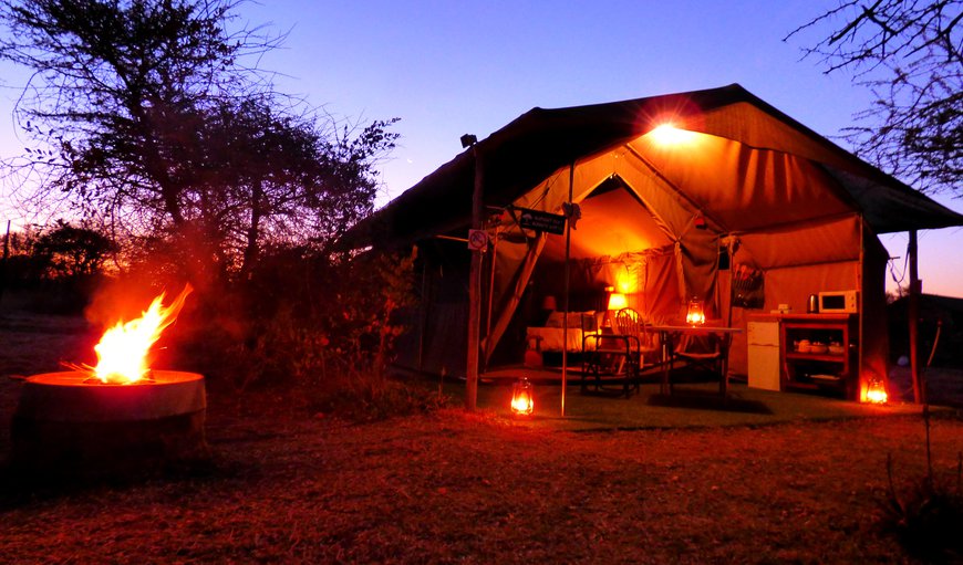 Elephant Root - Luxury Tent Camp: Elephant Root