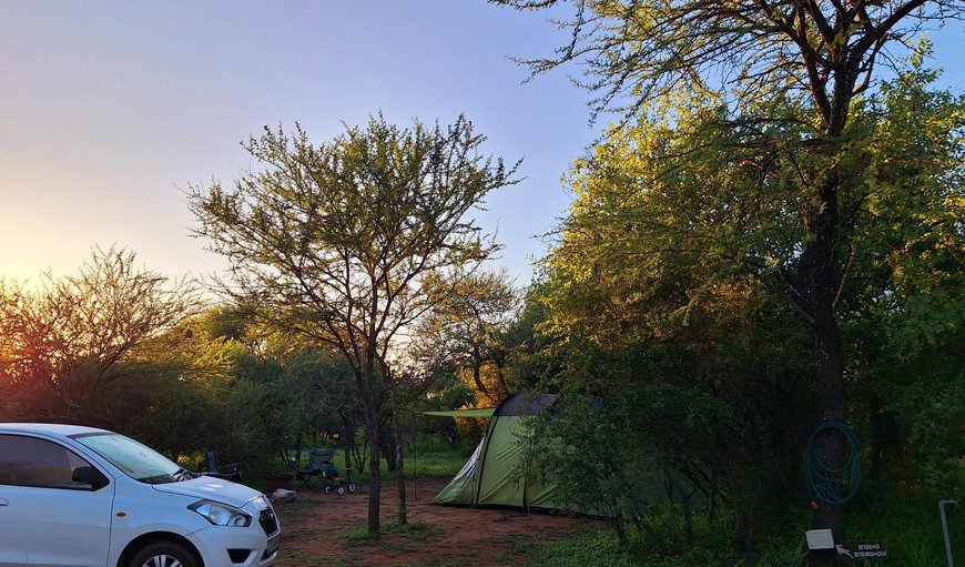 Kudu Bush Campsite: Bed