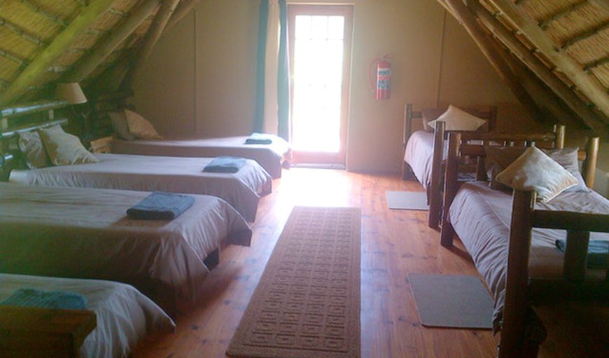 Kudu Chalet: Kudu/Wildebeest Chalet