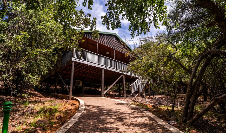6 Sleeper Log Cabin (In the ravine): Exterior