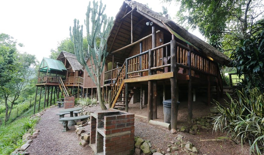 Chalet Two: Chalet Two and Three braai areas