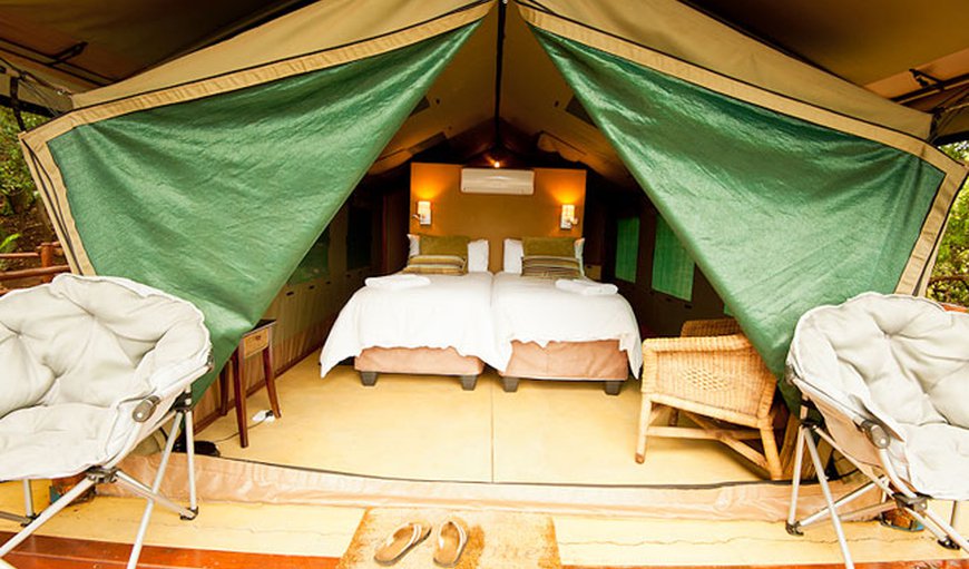 Ituri Tent 01: Ituri Tent 01 - King size bed