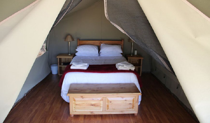 Bush Camp: Bush Camp - Tent with a double bed