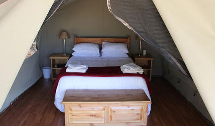 Bush Camp: Bush Camp - Tent with a double bed