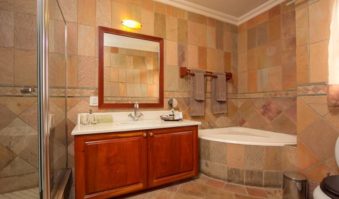 Executive King Room with bath and shower: Executive King Room with Bath and Shower