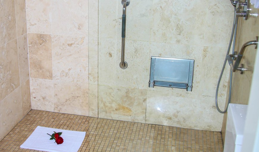 Luxury Disabled (Shower Only): Luxury Disabled (Shower Only)