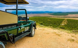 Addo Wildlife image