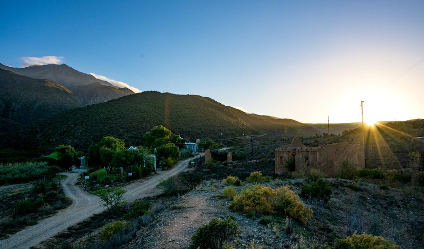 Welcome to Matjiesvlei Cottages in Calitzdorp, Western Cape, South Africa