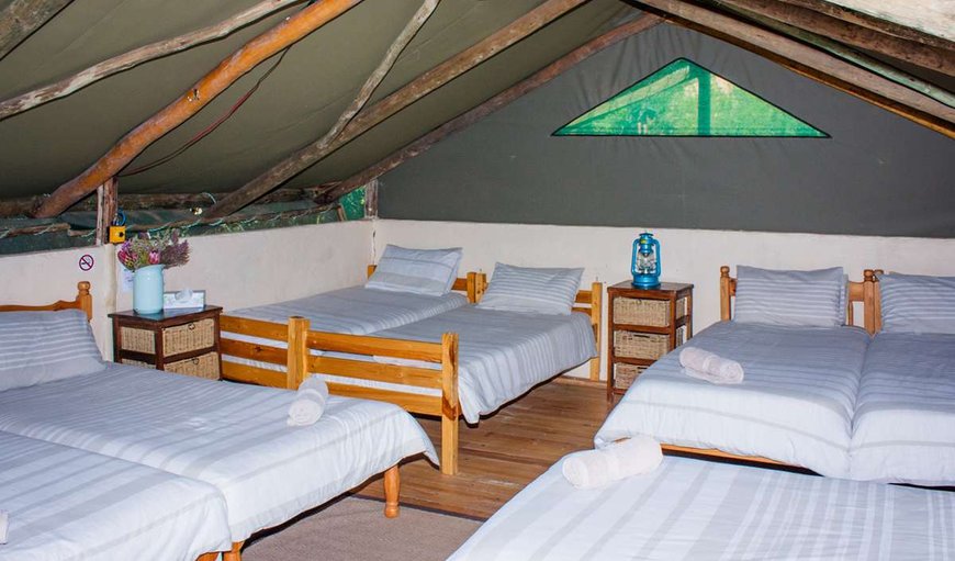 Tented Camp: Bedroom with Single beds 