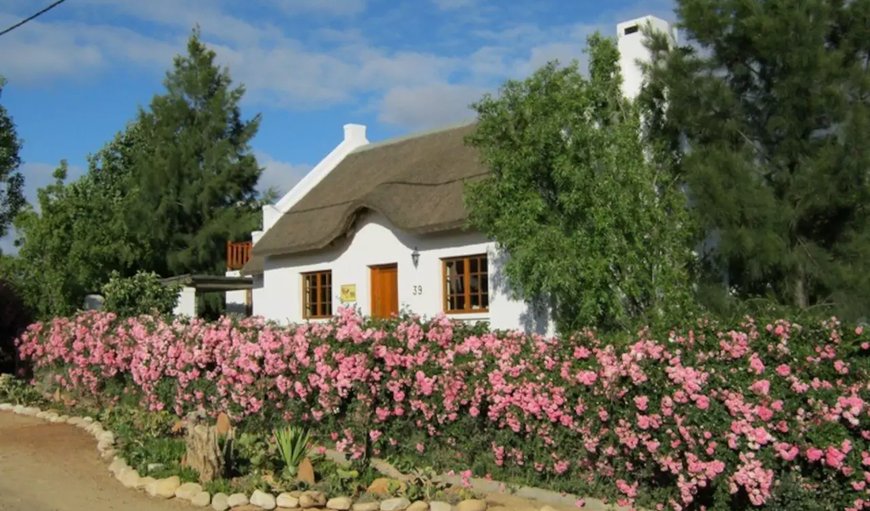 Welcome to Karoo Cottage  in McGregor, Western Cape, South Africa