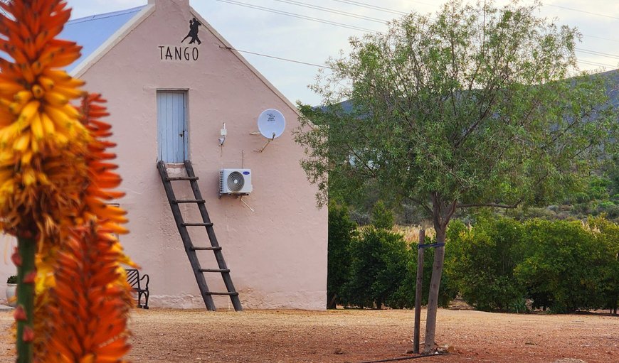 Tango Guest House photo 236