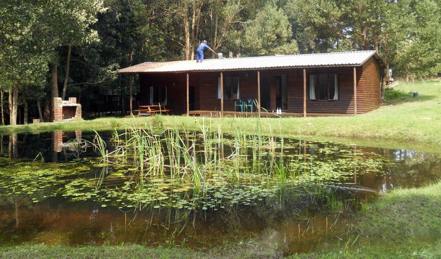 Plett Forest Cabins in Harkerville, Plettenberg Bay, Western Cape, South Africa