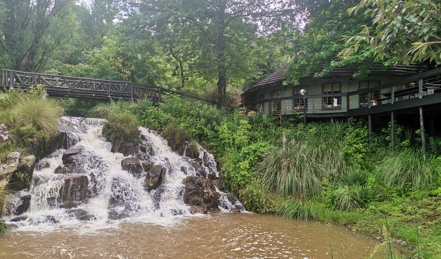 cover in Underberg, KwaZulu-Natal, South Africa