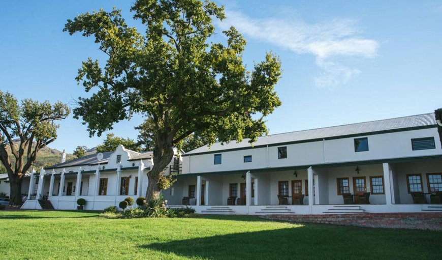 Welcome to d'Olyfboom Guesthouse in Paarl, Western Cape, South Africa
