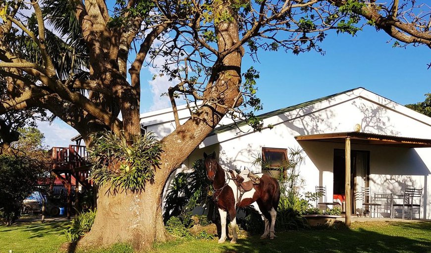 Welcome to Kei Mouth Guest Lodge in Kei Mouth, Eastern Cape, South Africa