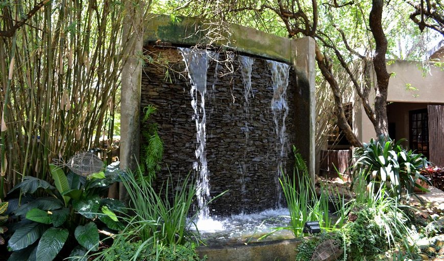 Beautiful water feature in Garden 