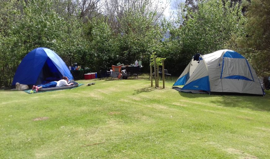 Campsite: Lots of Shade