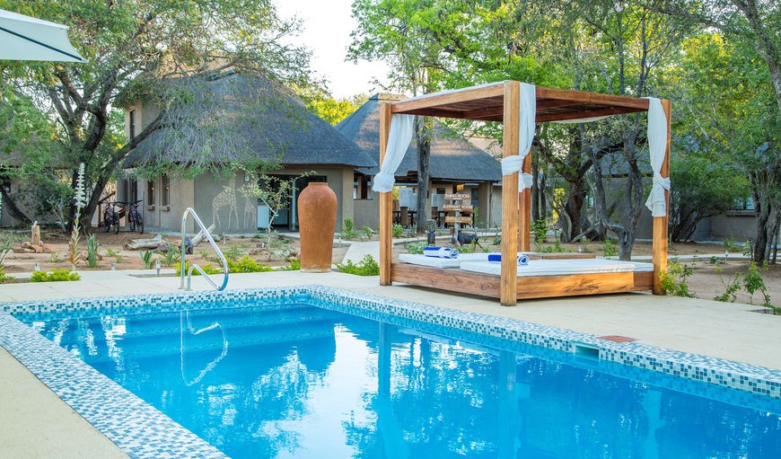 Guests can enjoy the large swimming pool, a boma (entertainment area) and large deck overlooking the riverbed