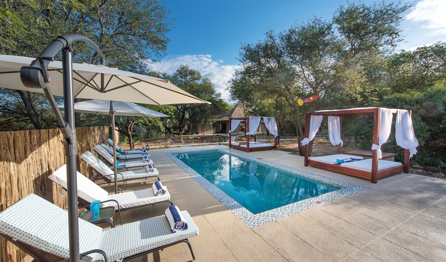 Welcome to Bushbaby River Lodge in Hoedspruit, Limpopo, South Africa