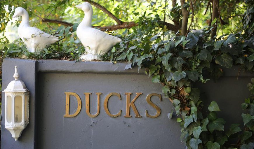 Ducks Country House and Venue