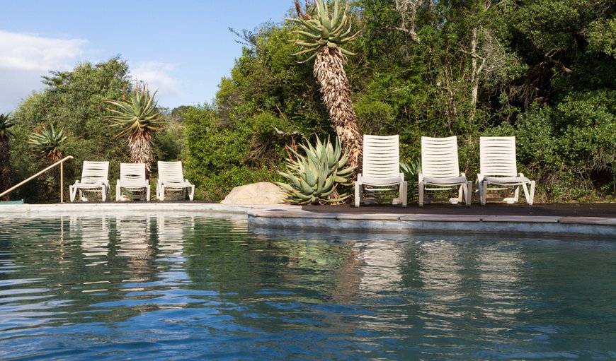 Stonehill River Lodge with a swimming pool.