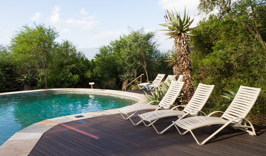 Stonehill River Lodge with a swimming pool. in Swellendam, Western Cape, South Africa