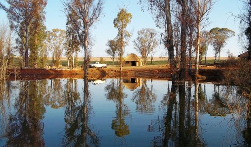 Welcome to Bernally's Fishing Lodge in Magaliesburg, Gauteng, South Africa