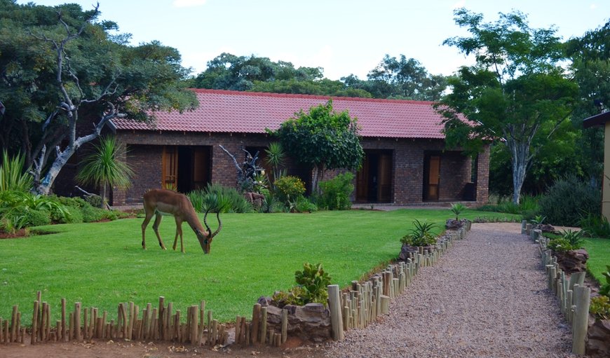 Mon Repos Guest Farm in Bela Bela (Warmbaths), Limpopo, South Africa