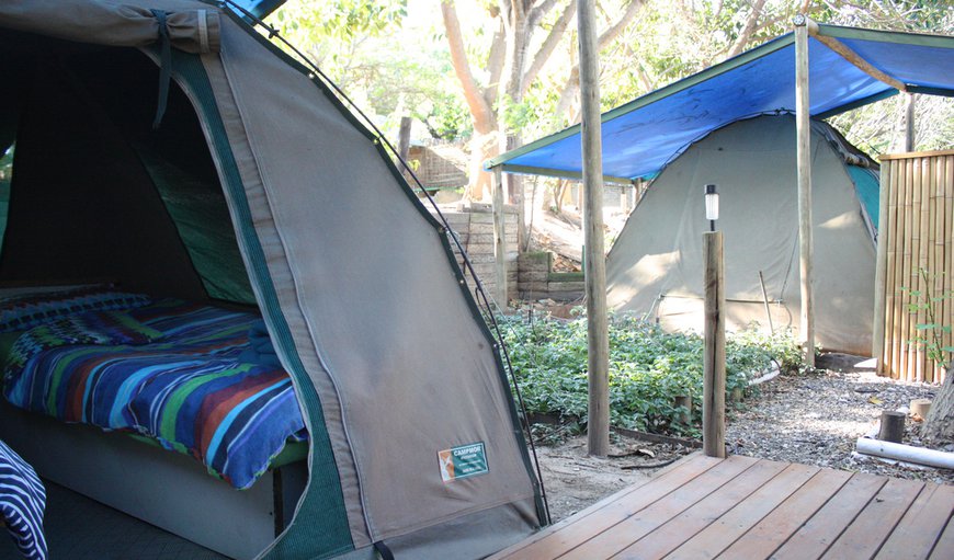 Bush dome tents: Bush Dome Tents