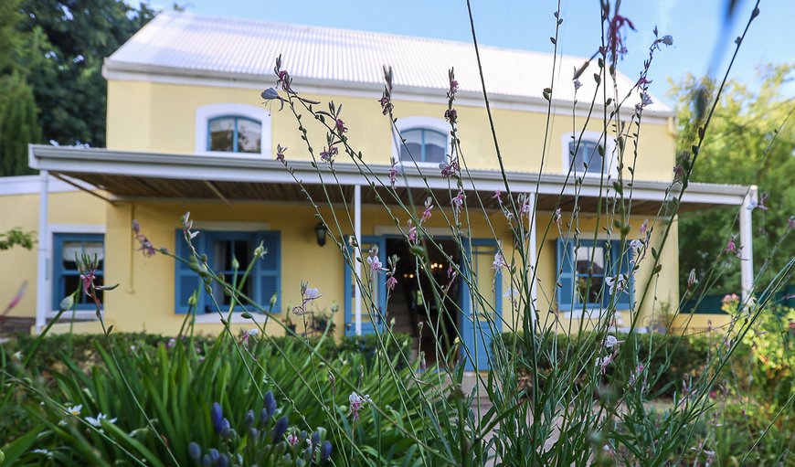 Welcome to Shades of Provence in Riebeek Kasteel, Western Cape, South Africa