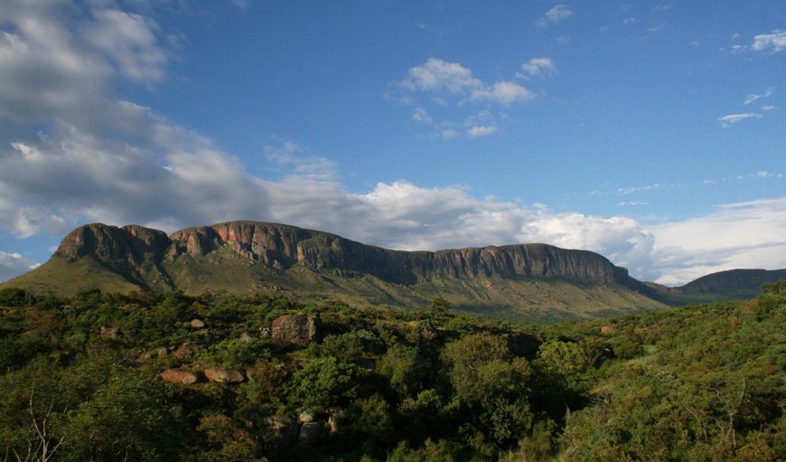 Griffons Bush Camp is nestled in a mountainous amphitheatre at the highest point in the Waterberg.