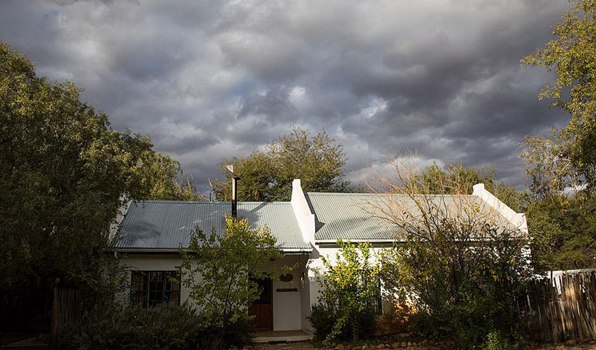 Welcome to Olive Thrush Cottage in Prince Albert, Western Cape, South Africa
