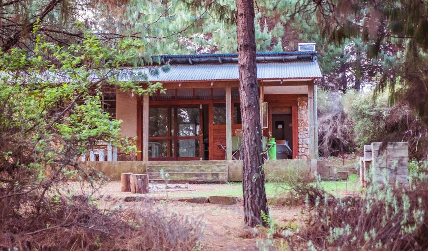 The Cob House: The Cob House