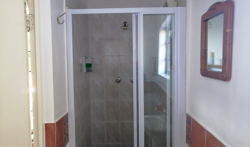 Room 1 shower