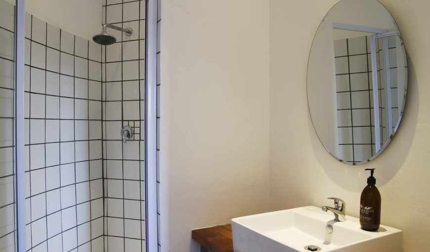 Double Room with Fireplace: Buchu: Buchu Guesthouse Room bathroom with shower.