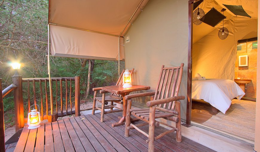 Safari Tented Room photo 46