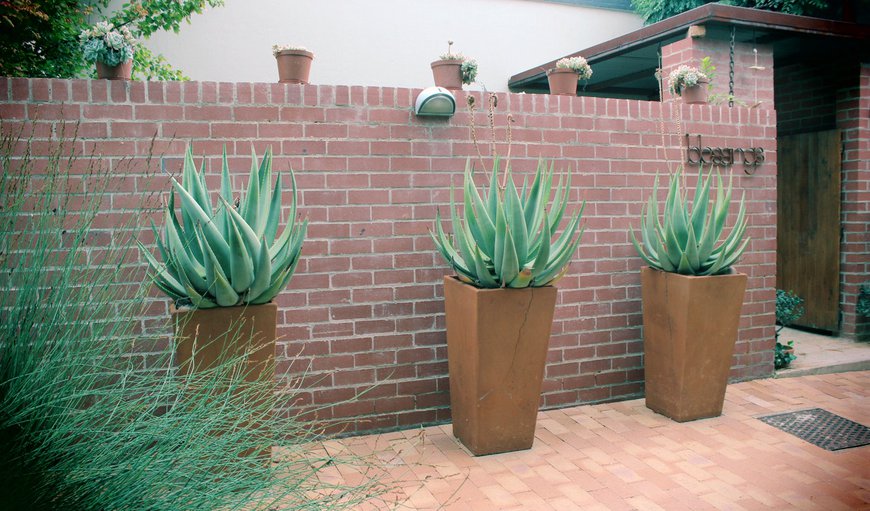 Entrance to the Guesthouse