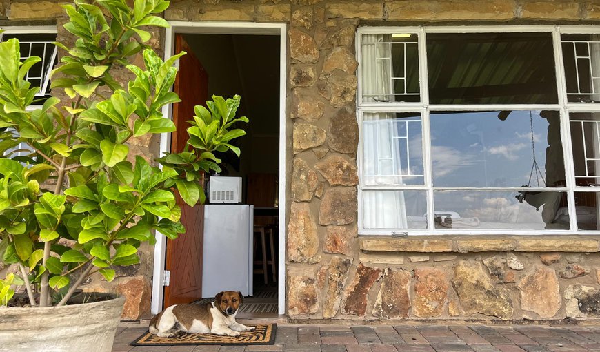 Wildebees Room 4 (Non-Self-catering) photo 53