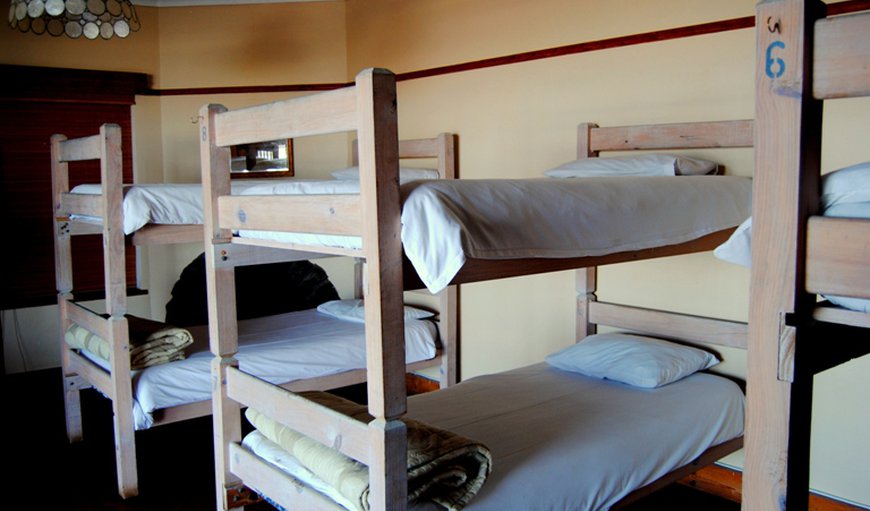 Mixed Dorm Beds: Dormitory