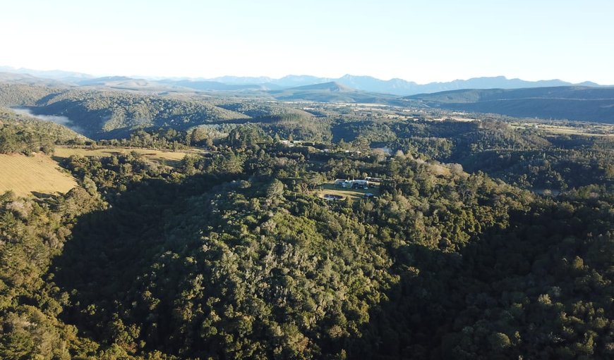 Green Hills Forest Lodge in The Crags, Plettenberg Bay, Western Cape, South Africa
