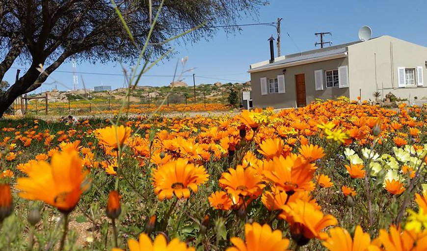 Welcome to Kamieskroon Cosy Cottages in Kamieskroon, Northern Cape, South Africa